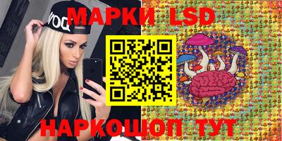 бошки Бийск