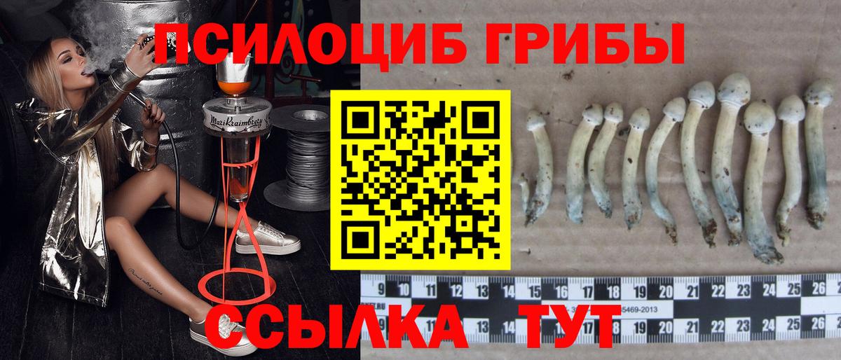 Галлюциногенные грибы мухоморы Карачаевск