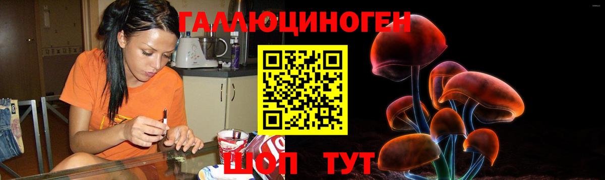 Карачаевск  Галлюциногенные грибы Psilocybine cubensis  Псилоцибиновые грибы Psilocybe  Вход с VPN 